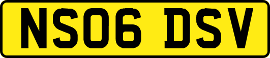 NS06DSV