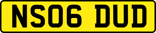 NS06DUD