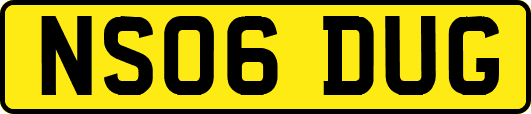 NS06DUG