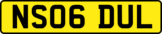 NS06DUL