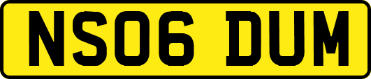 NS06DUM