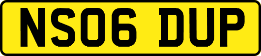 NS06DUP