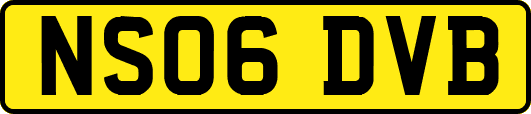 NS06DVB