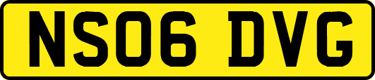 NS06DVG