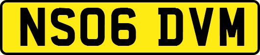NS06DVM