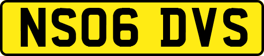 NS06DVS