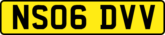 NS06DVV