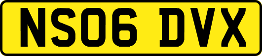 NS06DVX
