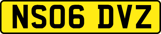 NS06DVZ