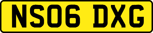 NS06DXG