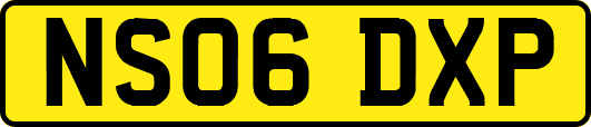 NS06DXP
