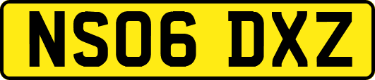 NS06DXZ