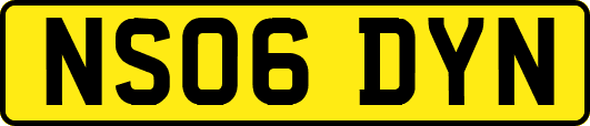 NS06DYN