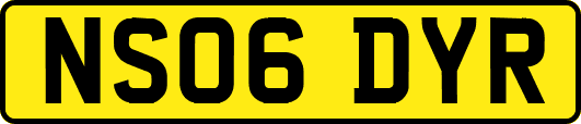 NS06DYR