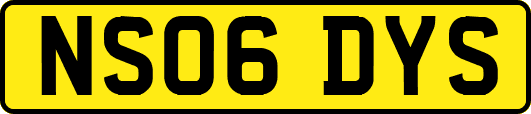 NS06DYS