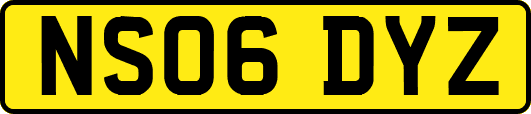 NS06DYZ