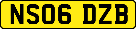 NS06DZB