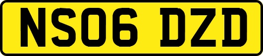 NS06DZD