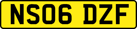 NS06DZF