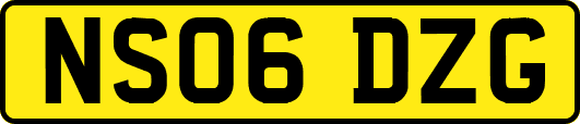 NS06DZG