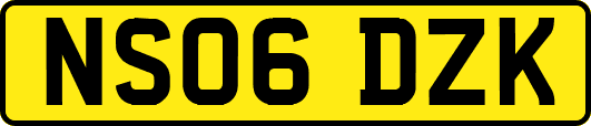 NS06DZK
