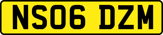 NS06DZM