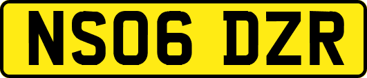 NS06DZR