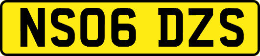 NS06DZS