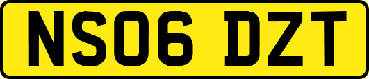 NS06DZT