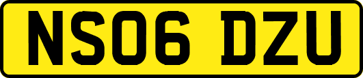 NS06DZU