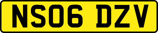NS06DZV
