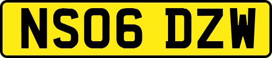 NS06DZW