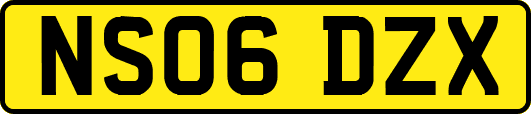 NS06DZX