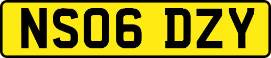 NS06DZY