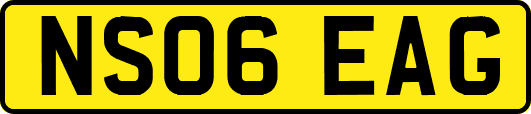 NS06EAG