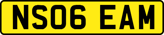 NS06EAM