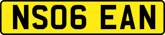 NS06EAN