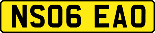 NS06EAO