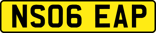 NS06EAP