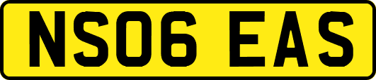 NS06EAS