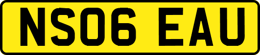 NS06EAU