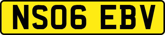 NS06EBV