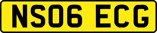 NS06ECG