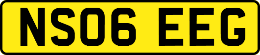 NS06EEG
