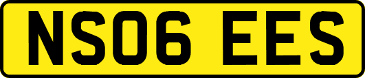 NS06EES