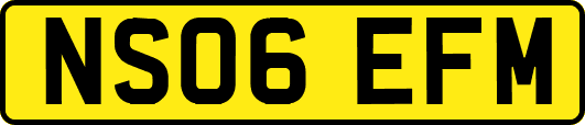NS06EFM