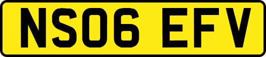 NS06EFV