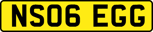 NS06EGG