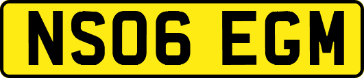 NS06EGM