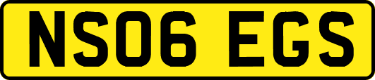 NS06EGS